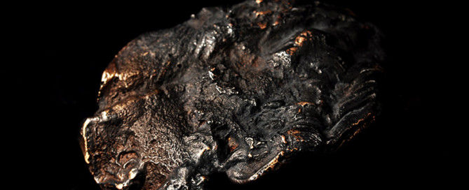 Oxyderet bronze - afstøbning af østersskal.